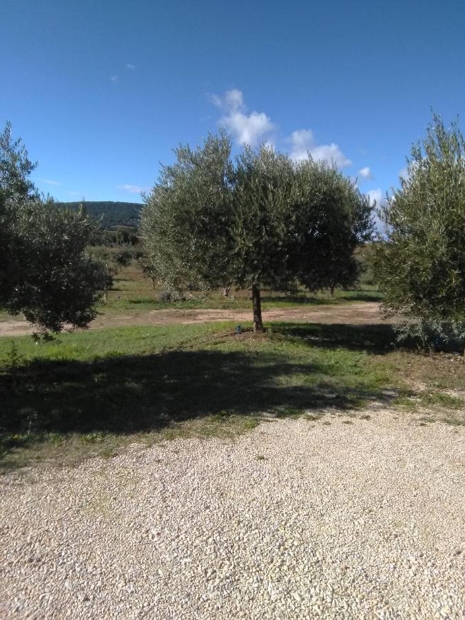 Vacances Vaison La Romaine Exteriér fotografie